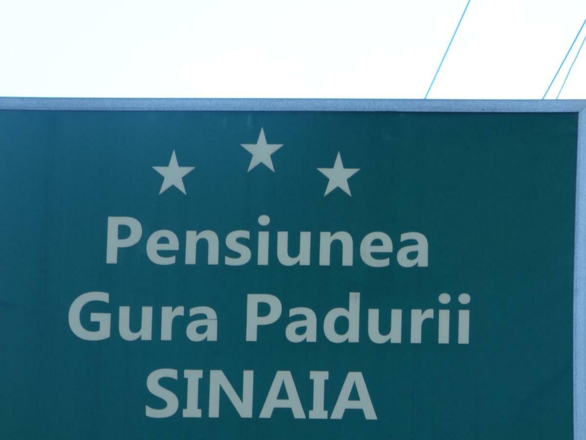 Hotel Gura Padurii Sinaia Exteriér fotografie
